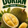 B15 — Durian